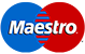 maestro_icon